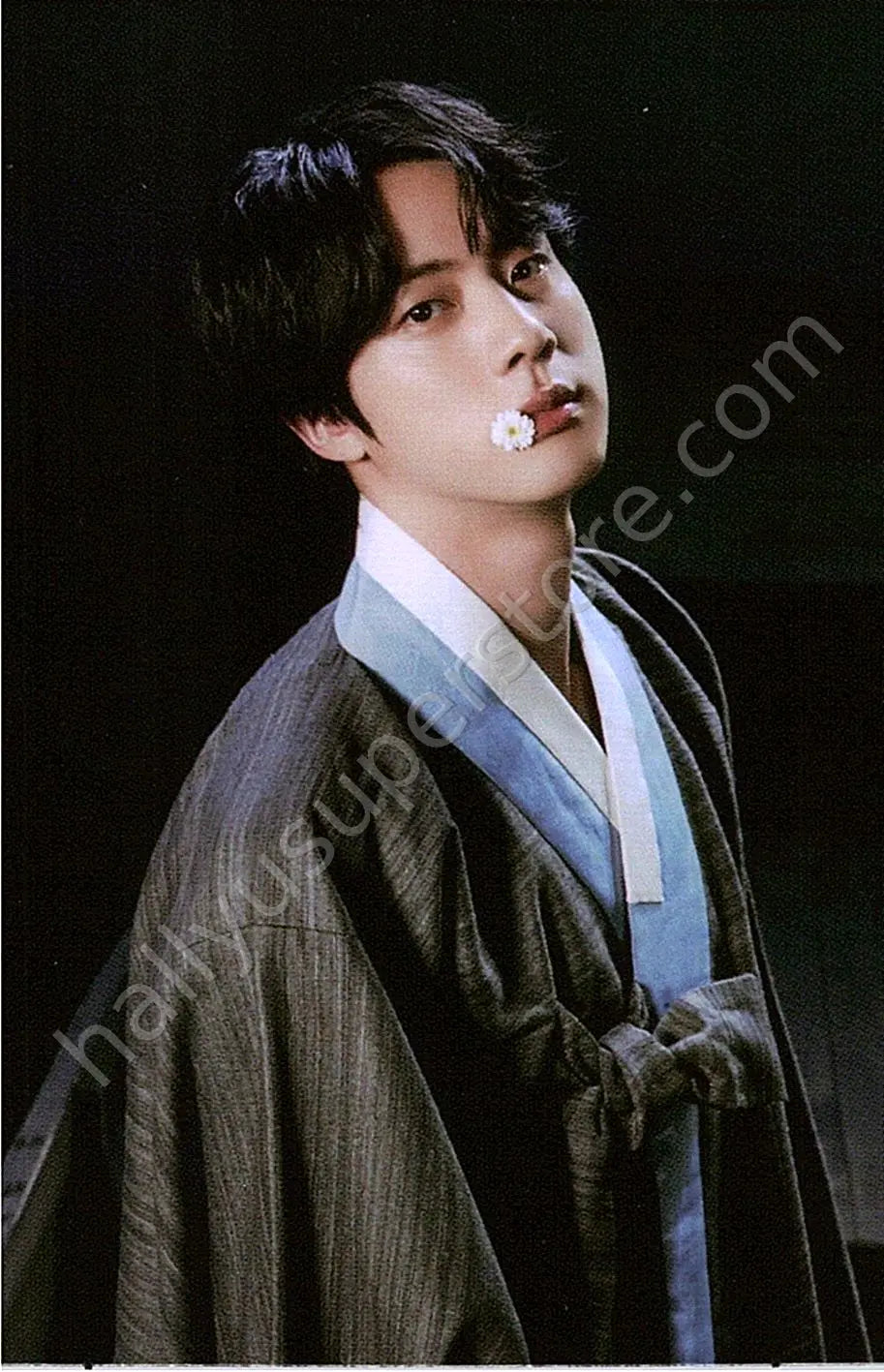 BTS - Jin - BTS - Jin - Dalmajung 2022 Other mini photocard