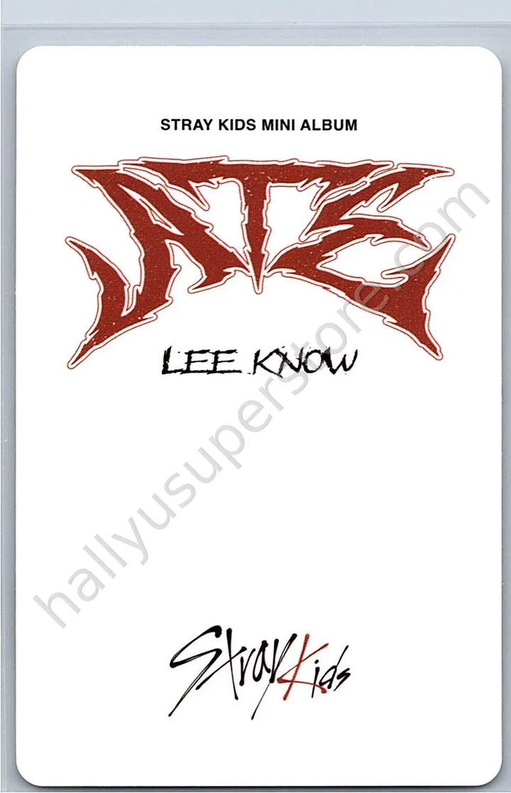 Stray Kids - Lee Know - ATE album photocard B version nemo version photocard set