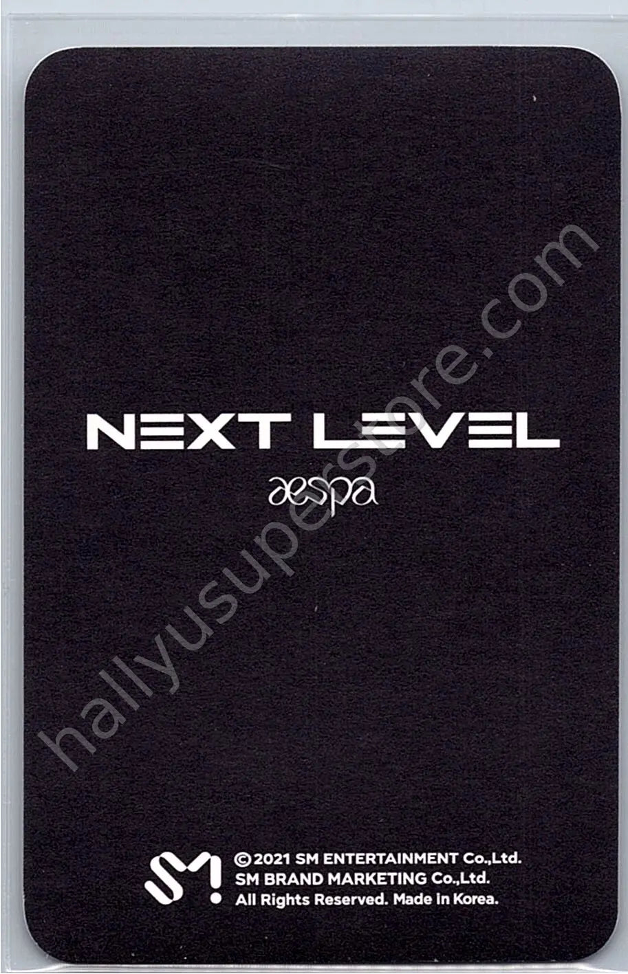 aespa - Winter - Next Level holographic (hologram) merch photocard