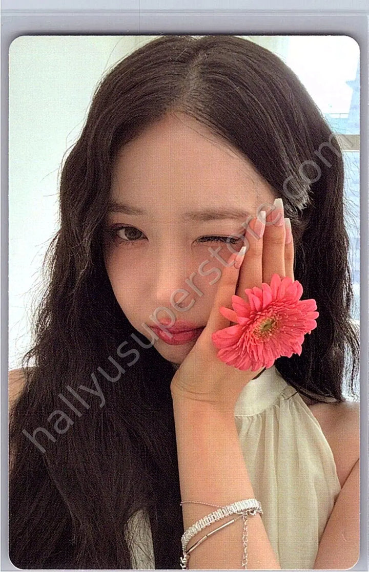 VIVIZ - SinB - Viviz Museum 2025 Season&