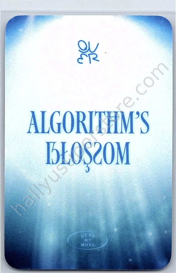 QWER - Chodan - Algorithm&