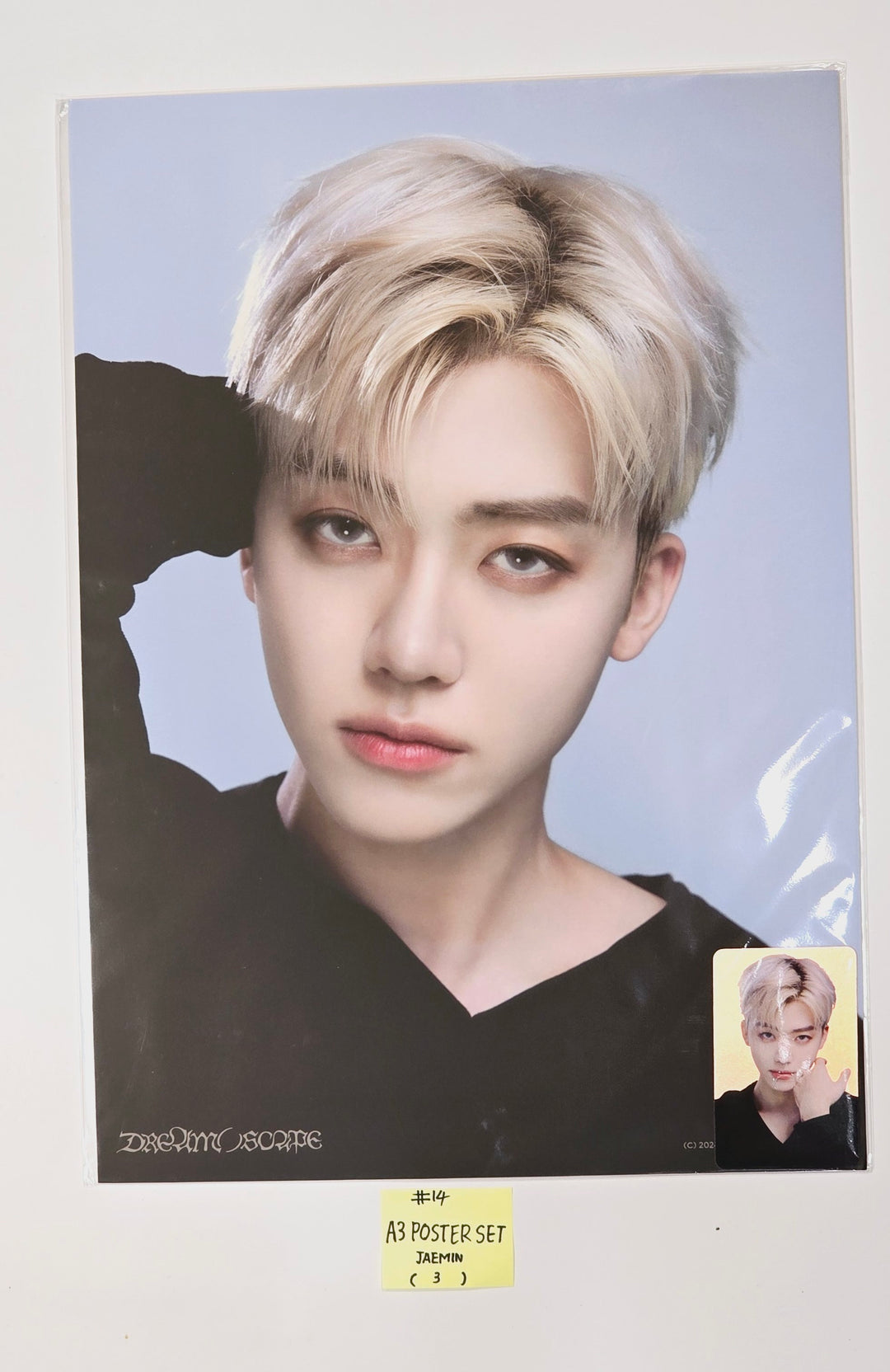NCT Dream "Dream()Scape Zone" - Pop-Up Store MD (ID Photo Set, Photo Set, A3 Photo Set, T-Shirt Set) [24.4.1] - HALLYUSUPERSTORE