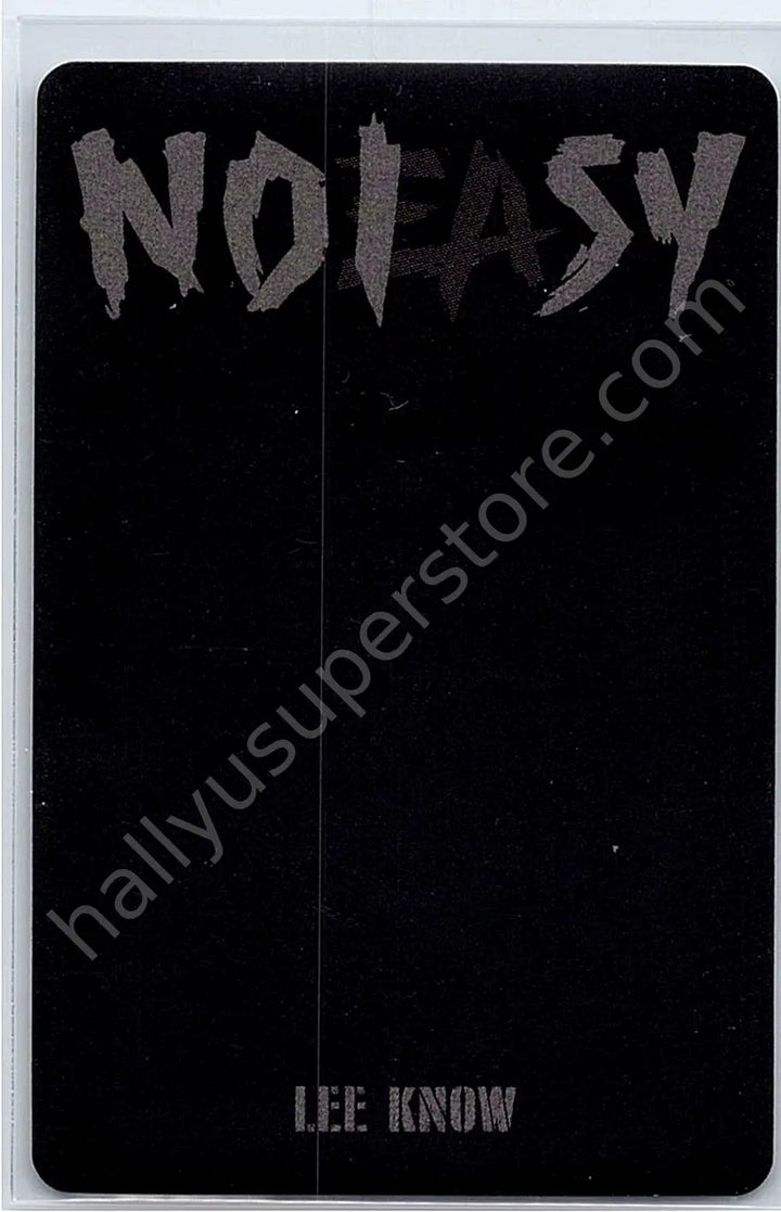 Stray Kids - Lee Know - NoEasy album photocard first press only limited edition photocard set
