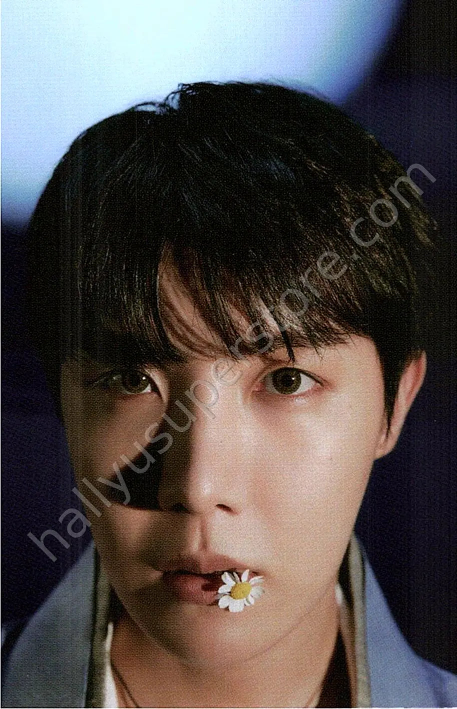 BTS - j-hope - Dalmajung 2022 6/6 mini photocard