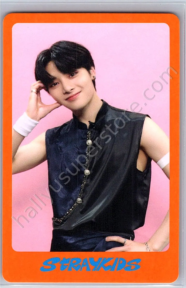 Stray Kids - I.N - DICON D&