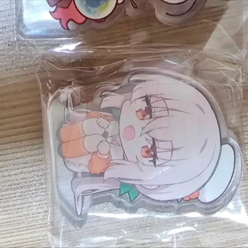 [SOLD OUT] 감규리 아크릴 코롯토