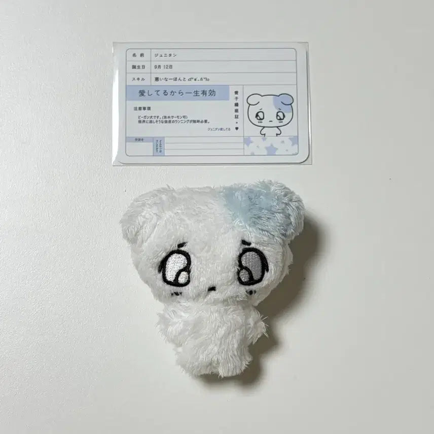 [SOLD OUT] 플레이브 예준 플부땅 쭈니땅 비공굿 인형