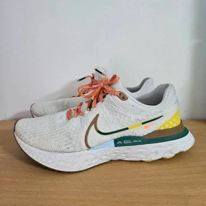 [BUNJANG] Nike InfinityRun Flyknit Phantom Running Shoes / 나이키 인피니티런 훌라루 팬텀 270사이즈 런닝화(택포)