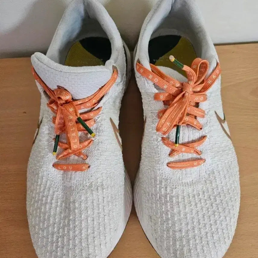 [BUNJANG] Nike InfinityRun Flyknit Phantom Running Shoes / 나이키 인피니티런 훌라루 팬텀 270사이즈 런닝화(택포)