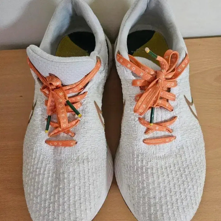 [BUNJANG] Nike InfinityRun Flyknit Phantom Running Shoes / 나이키 인피니티런 훌라루 팬텀 270사이즈 런닝화(택포)