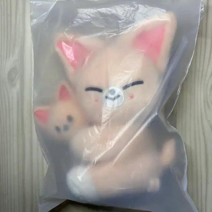 [SOLD OUT] [미개봉] 스키즈 폭시니 마그넷 플러시 양도 판매