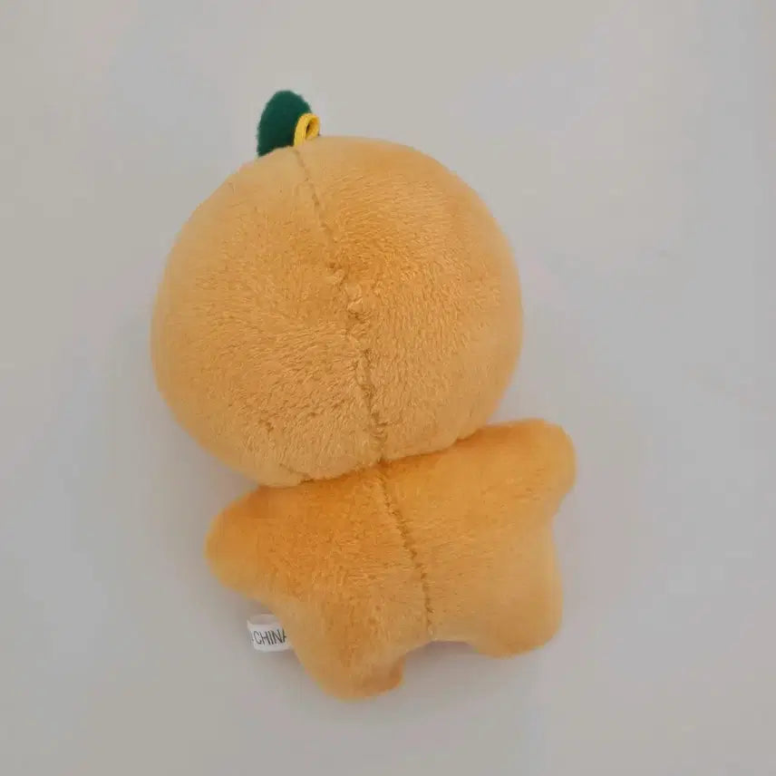 [SOLD OUT] 세븐틴 승관 부승관 인형 뿌라봉 똘망라봉 양도