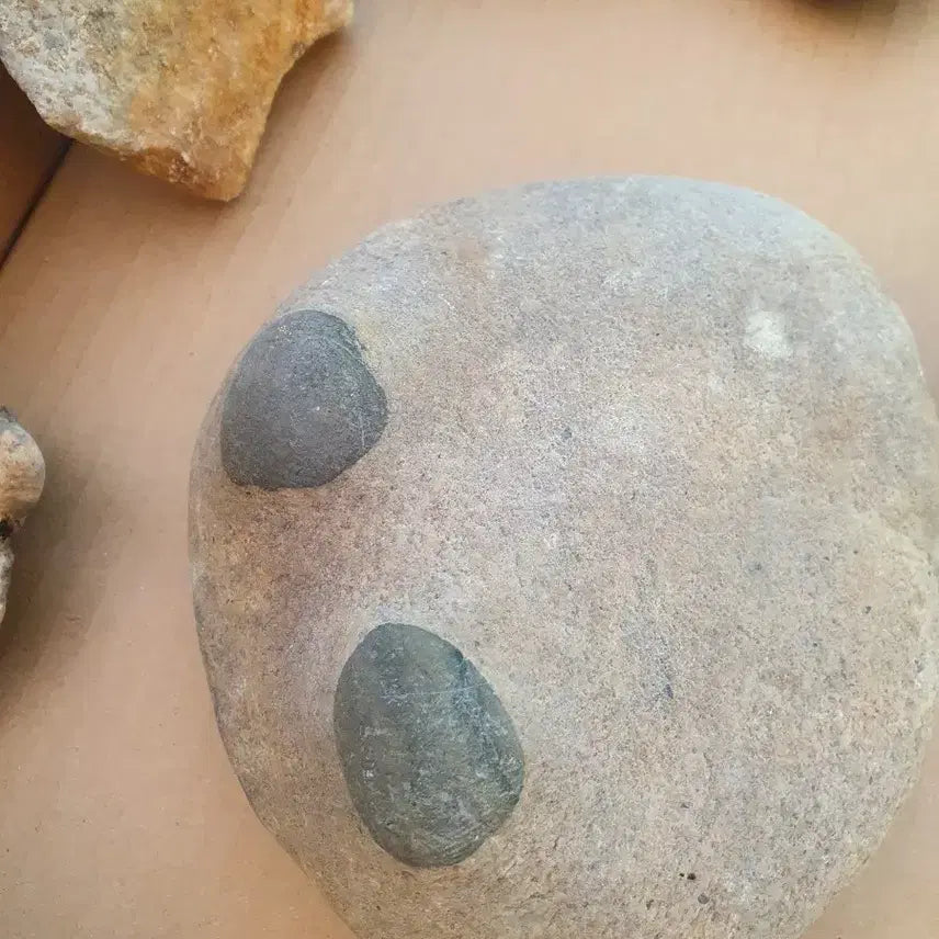 [BUNJANG] Natural Stone Collection / 모양돌 모음 자연석