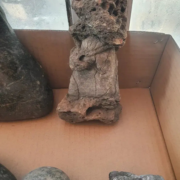 [BUNJANG] Natural Stone Collection / 모양돌 모음 자연석