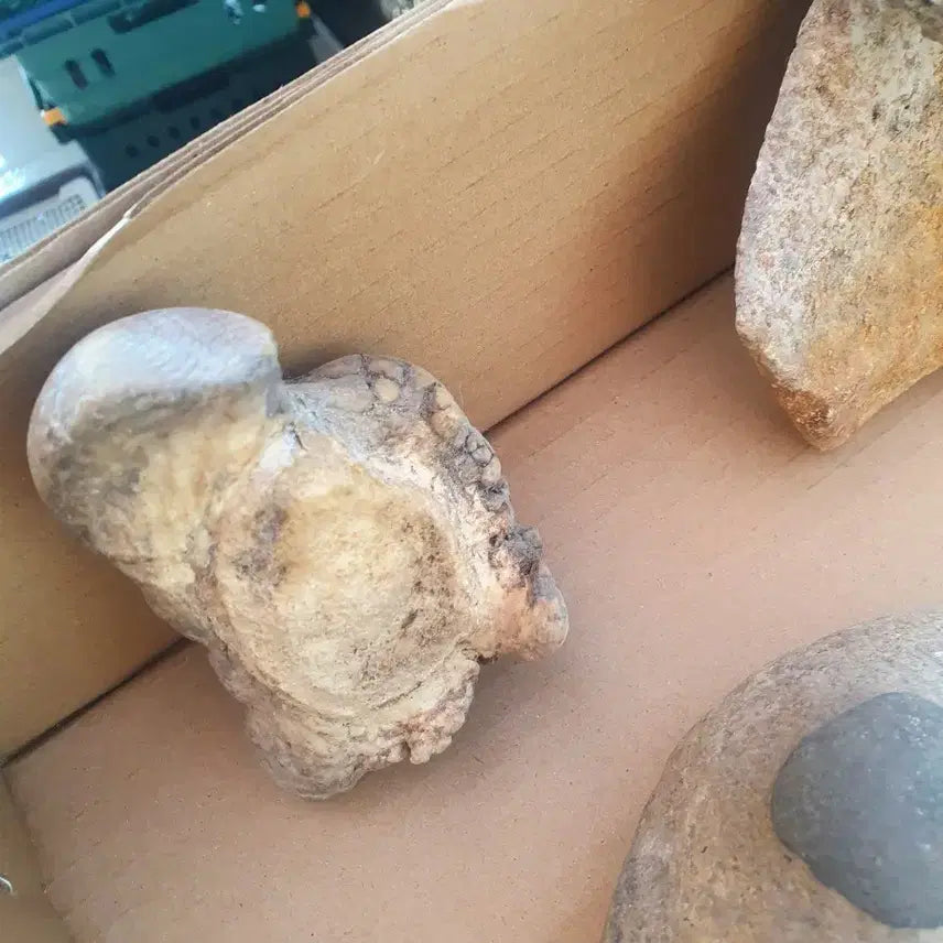 [BUNJANG] Natural Stone Collection / 모양돌 모음 자연석