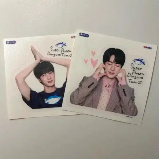 [BUNJANG] BTS Jin Tuna Sticker Set / BTS 진 동원참치 스티커