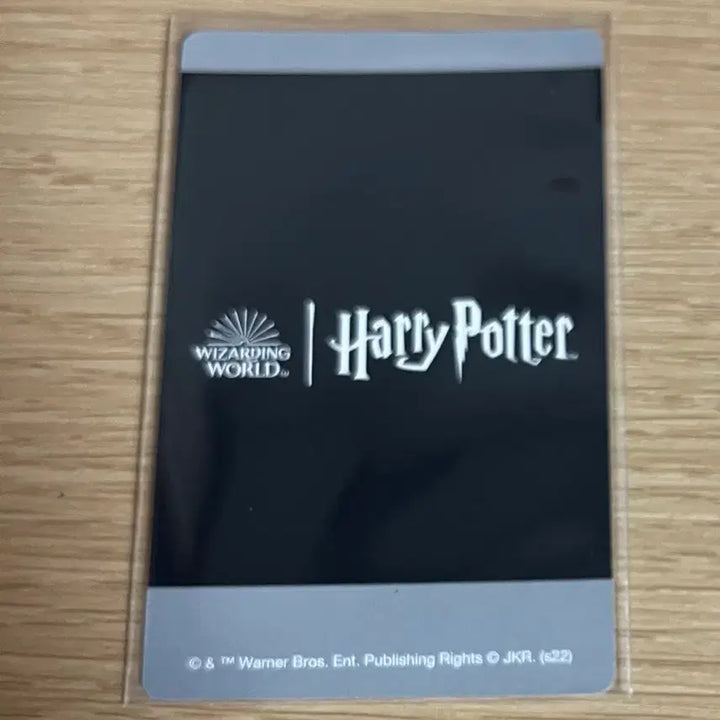[BUNJANG] Harry Potter Tom Riddle Snap Photocard / 해리포터 톰리들 스냅 포토카드 공식