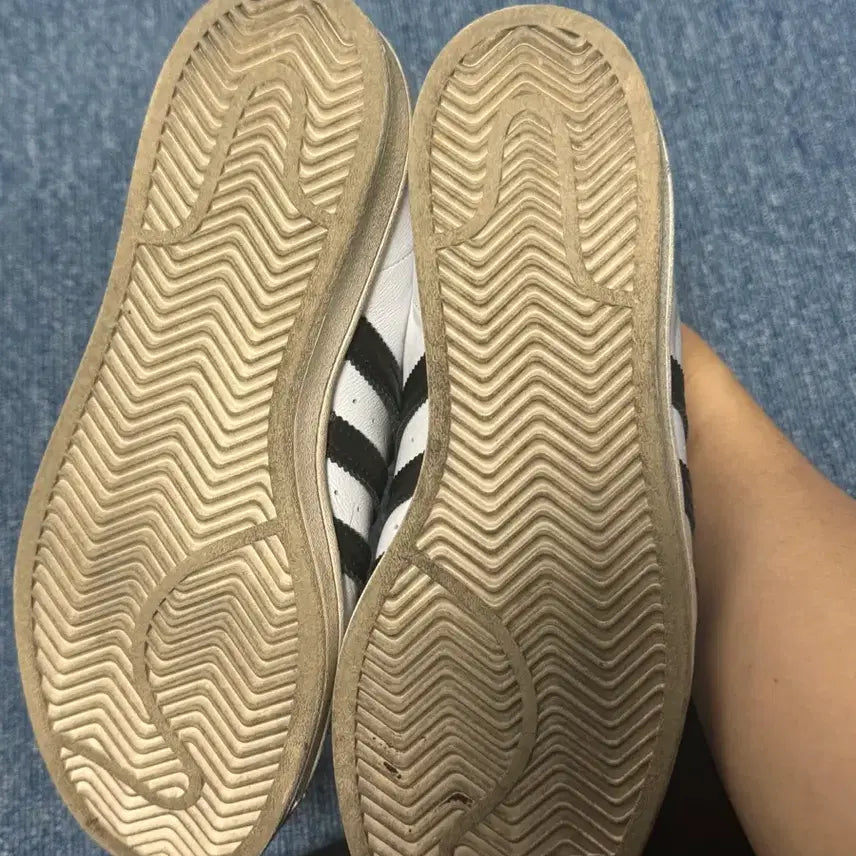 [SOLD OUT] 아디다스 슈퍼스타 고어텍스 260