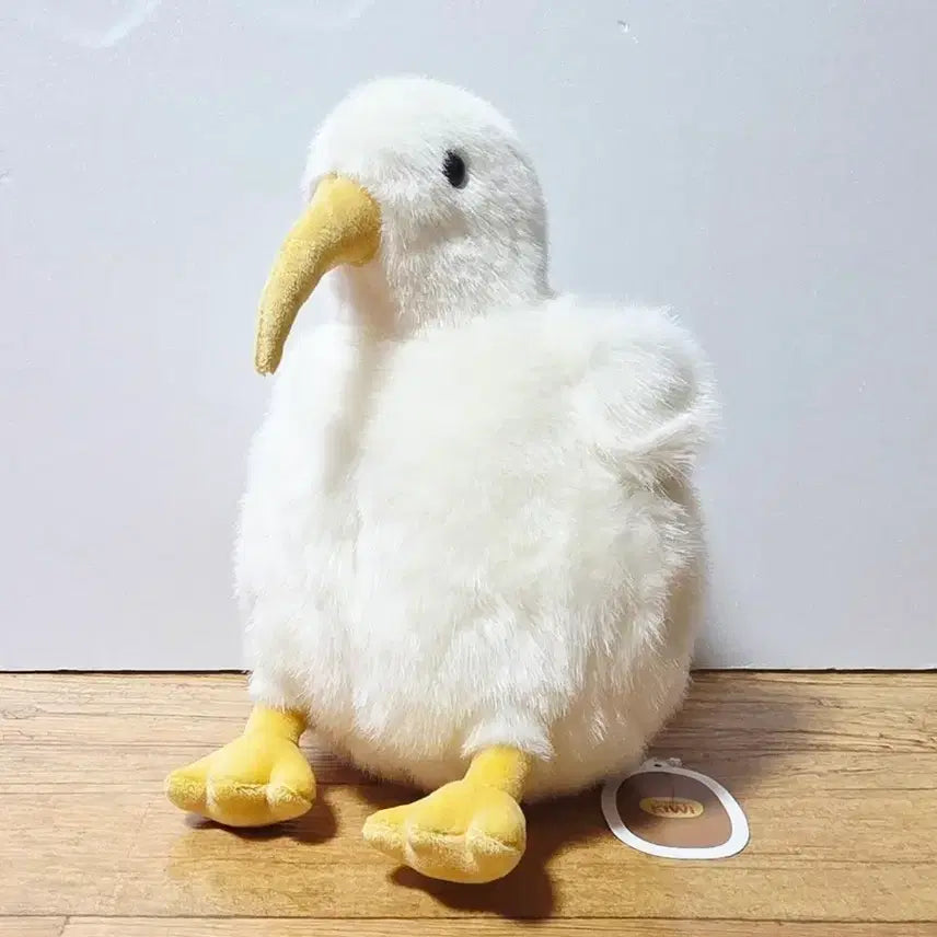 [SOLD OUT] 키위새 중형 26cm 화이트 인형