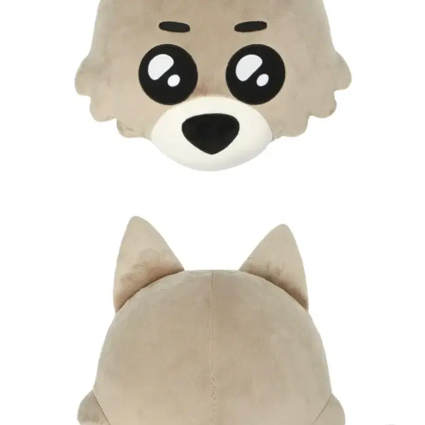 [SOLD OUT] 급처)보이넥스트도어 쁘넥도 명명이 쿠션