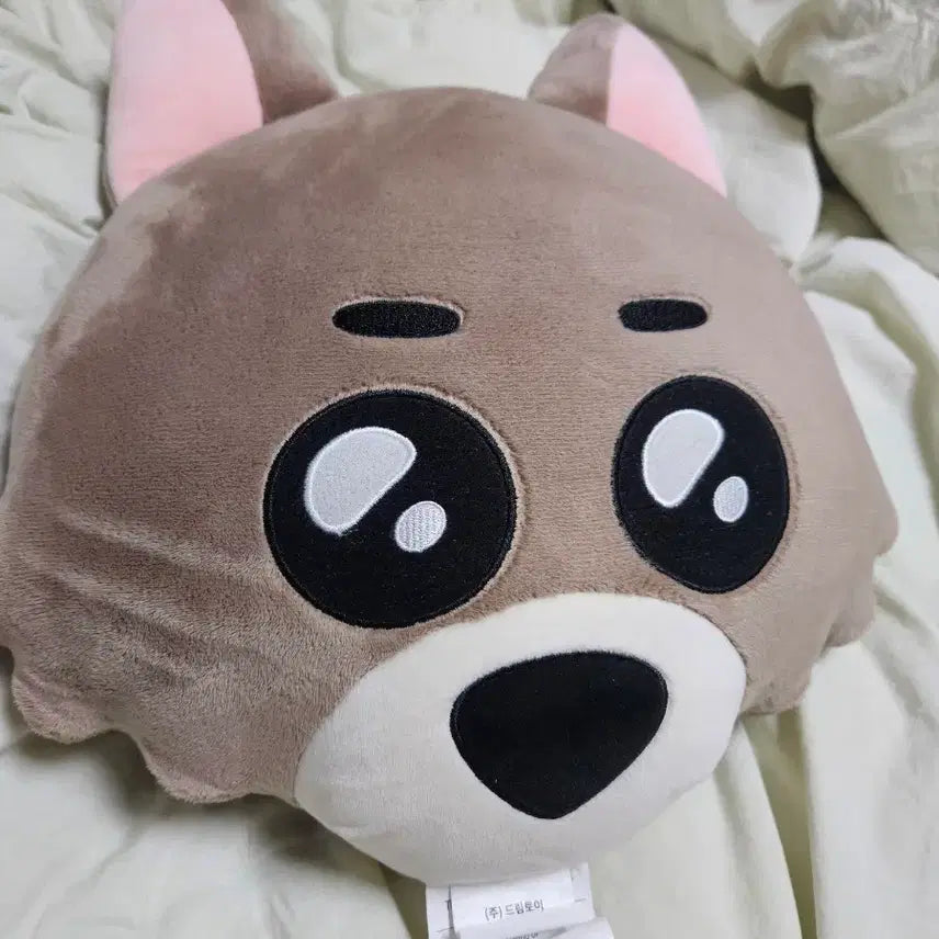 [SOLD OUT] 급처)보이넥스트도어 쁘넥도 명명이 쿠션