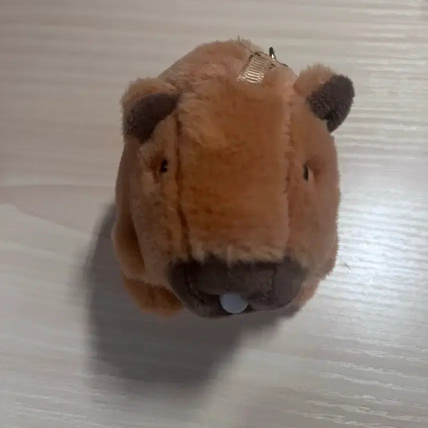 [BUNJANG] Capybara Plush Keyring / 카피바라 인형 키링