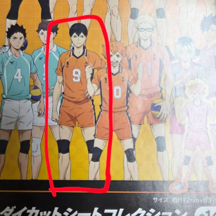[BUNJANG] Haikyu Kagayama Tobio Die-cut Sheet Collection / 하이큐 다이컷 시트 컬렉션 카게야마 토비오