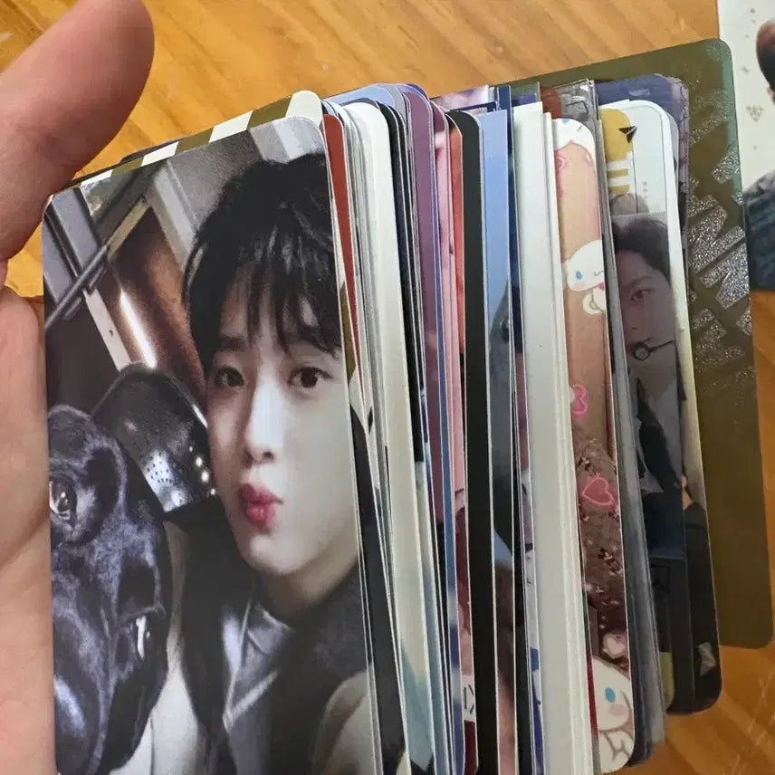 [SOLD OUT] 라이관린 워너원 포토카드 포카 일괄