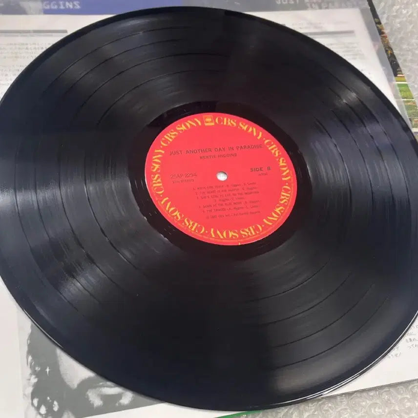 [BUNJANG] Bertie Higgins Casablanca LP / Bertie Higgins / 카사브랑카 LP