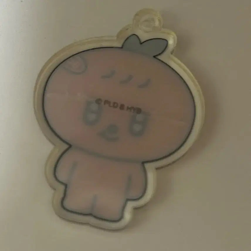 [BUNJANG] SEVENTEEN Seungkwan PBUGYUL Acrylic Keyring Mini Tin / 세븐틴 승관 뿌귤이 아크릴 키링 미니틴