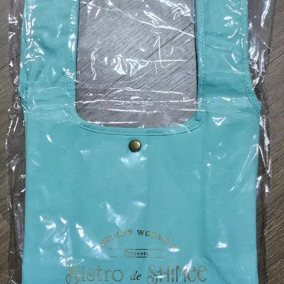 [BUNJANG] SHINee Bistro de SHINee Mini Tote Bag / 샤이니 비스트로 드 샤이니 샤제이 팬미팅 미개봉 미니토트백 보냉백 가방