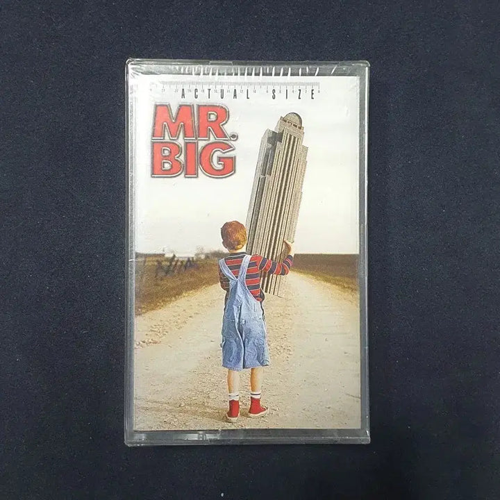 [SOLD OUT] 미개봉.미스터빅(Mr Big)Actual Size 카세트 테이프