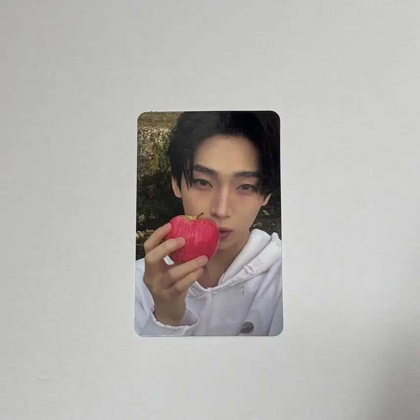 [BUNJANG] ENHYPEN Sunoo THE SIN: VANISH Engene Ver. Photocard / 엔하이픈 선우 THE SIN: VANISH 엔진반 랜덤 사과 포카