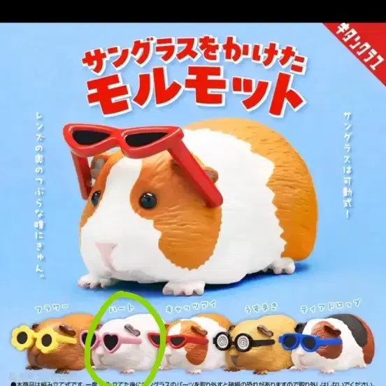 [BUNJANG] Guinea Pig Gacha / 기니피그 가챠