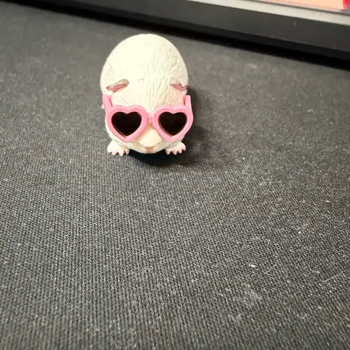 [BUNJANG] Guinea Pig Gacha / 기니피그 가챠