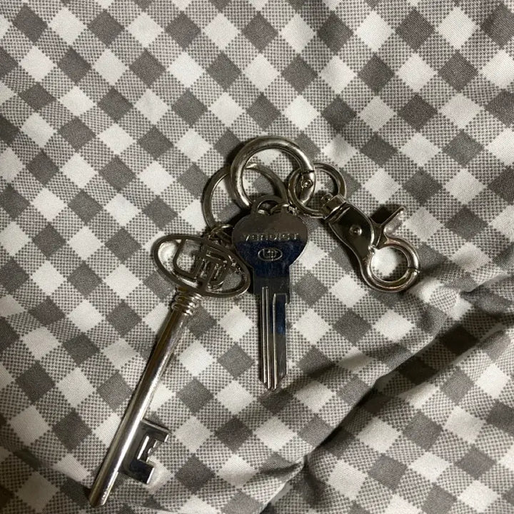 [BUNJANG] Vendic Keyring / 벤딕크 열쇠 키링