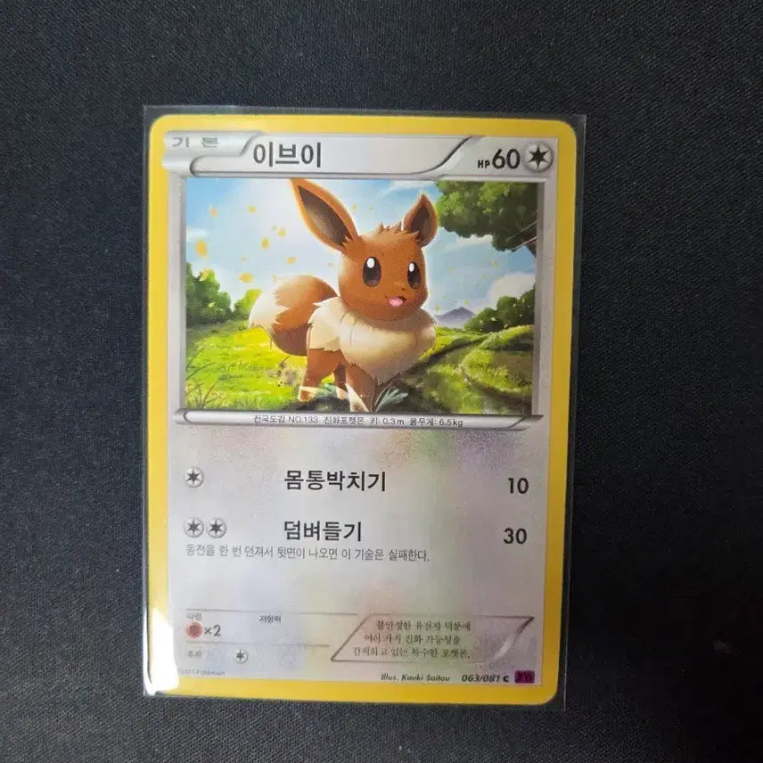[BUNJANG] Eevee Photocard / 이브이