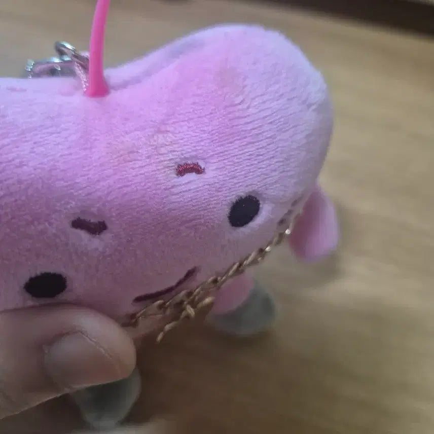 [SOLD OUT] 하퉁이 하탱이 스키즈 케사삼 인형 일괄