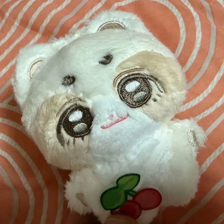 [SOLD OUT] 에스쿱스 인형 양도