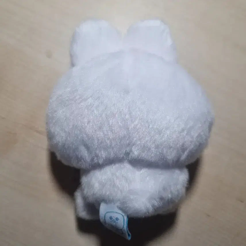 [BUNJANG] PLAVE Yejong Nam Yejun 10cm Plush Doll / 플레이브 예쫑 남예준 10cm 솜인형
