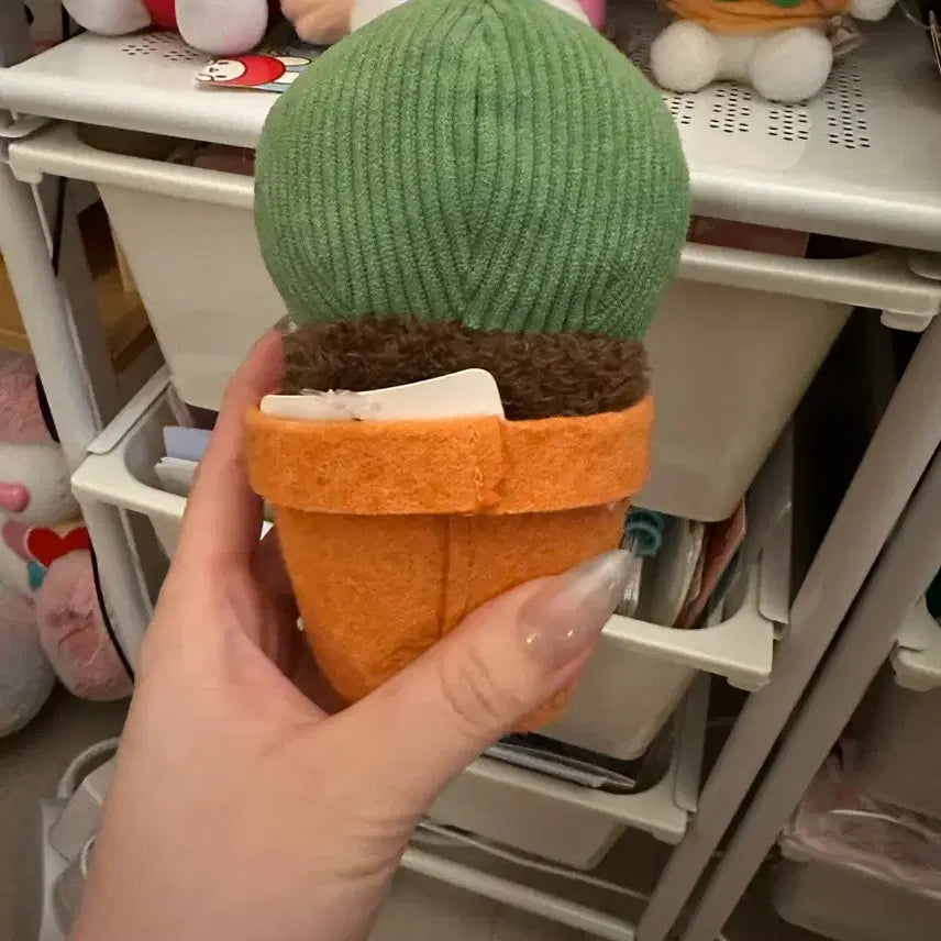 [BUNJANG] Shirotan Cactus Plush Doll with Pot / 시로탄 선인장 인형