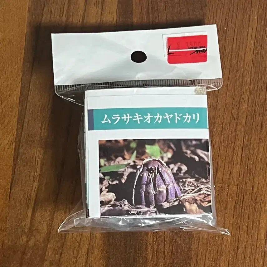 [BUNJANG] Gacha Purupuriosorage Hermit Crab / 가챠 푸르푸르소라게