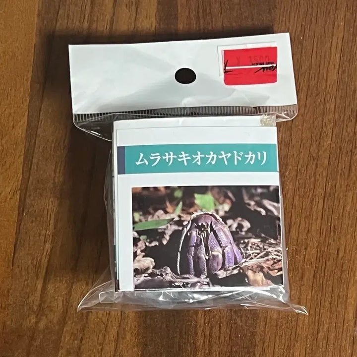 [BUNJANG] Gacha Purupuriosorage Hermit Crab / 가챠 푸르푸르소라게