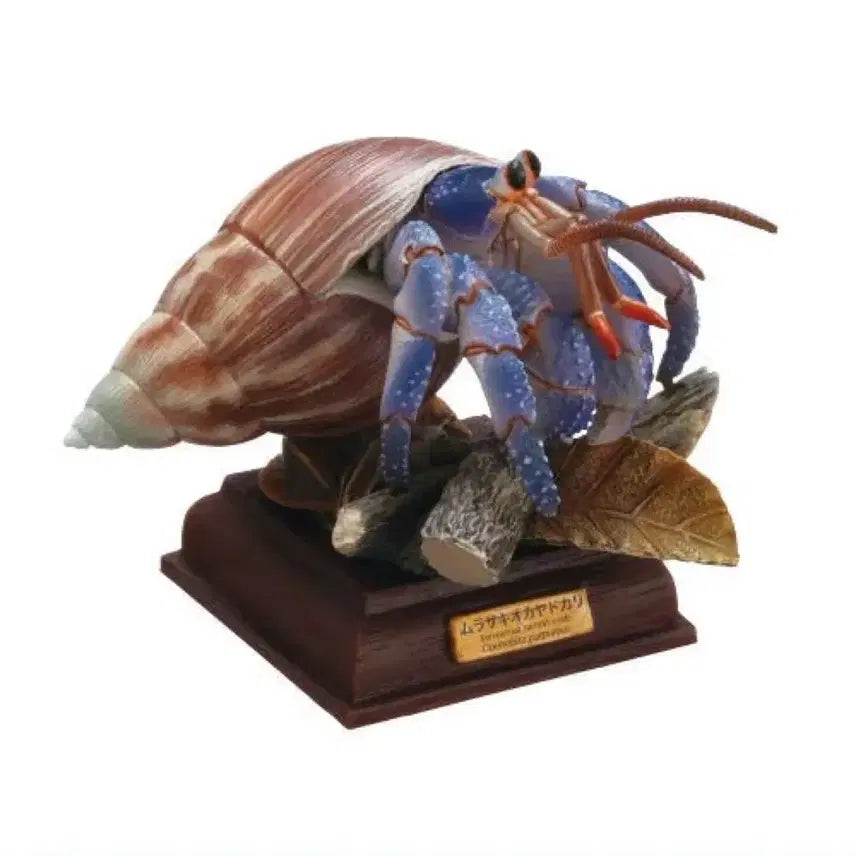 [BUNJANG] Gacha Purupuriosorage Hermit Crab / 가챠 푸르푸르소라게