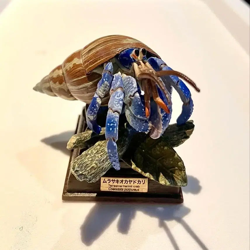 [BUNJANG] Gacha Purupuriosorage Hermit Crab / 가챠 푸르푸르소라게