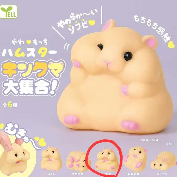 [BUNJANG] Hamster Gacha / 햄스터 가챠
