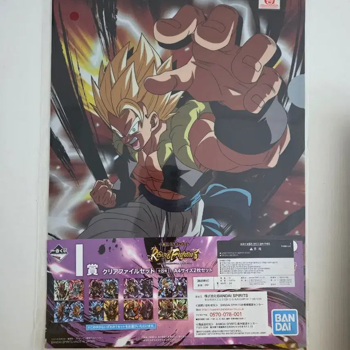[BUNJANG] Dragon Ball Rising Fighter Clear File Set / 드래곤볼 라이징 파이터 클리어파일 2종 세트