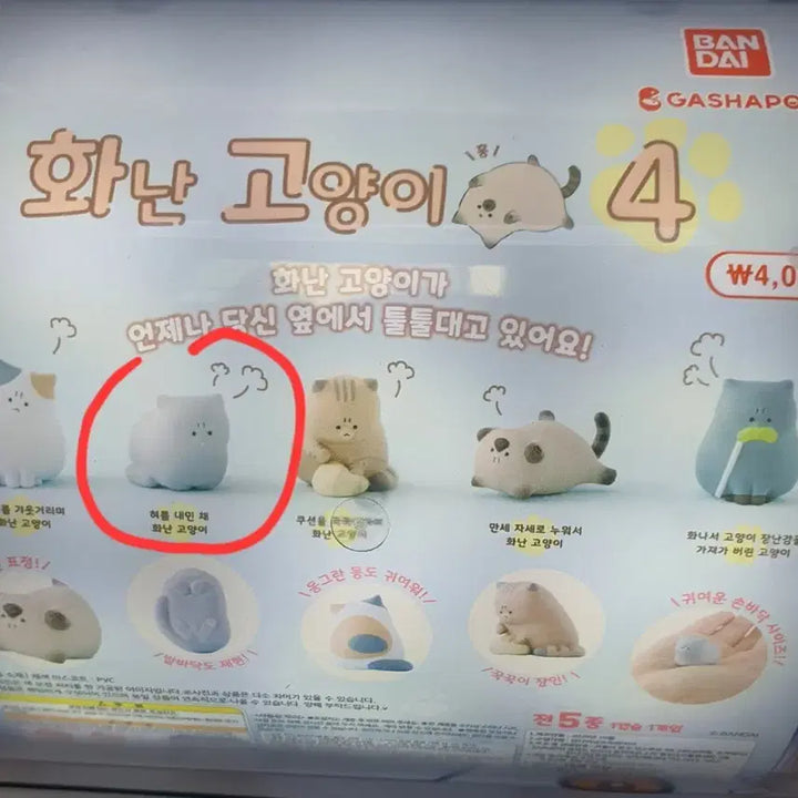 [BUNJANG] Angry Cat Gacha Series 4 Grey Cat / 화난 고양이 가챠 4탄 회색 고양이