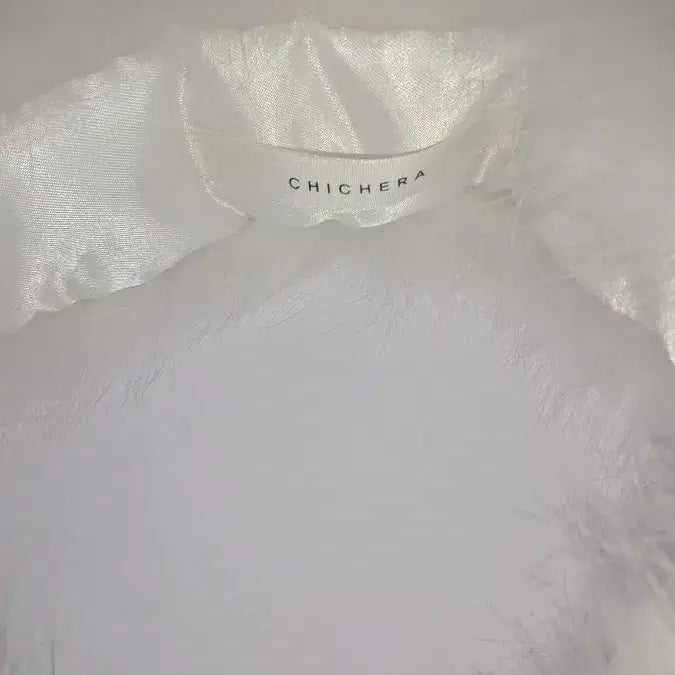 [BUNJANG] Chic Hera Natural Fur Scarf (Unworn New Item) / 시크헤라 천연모피 목도리 (미착용 새상품)