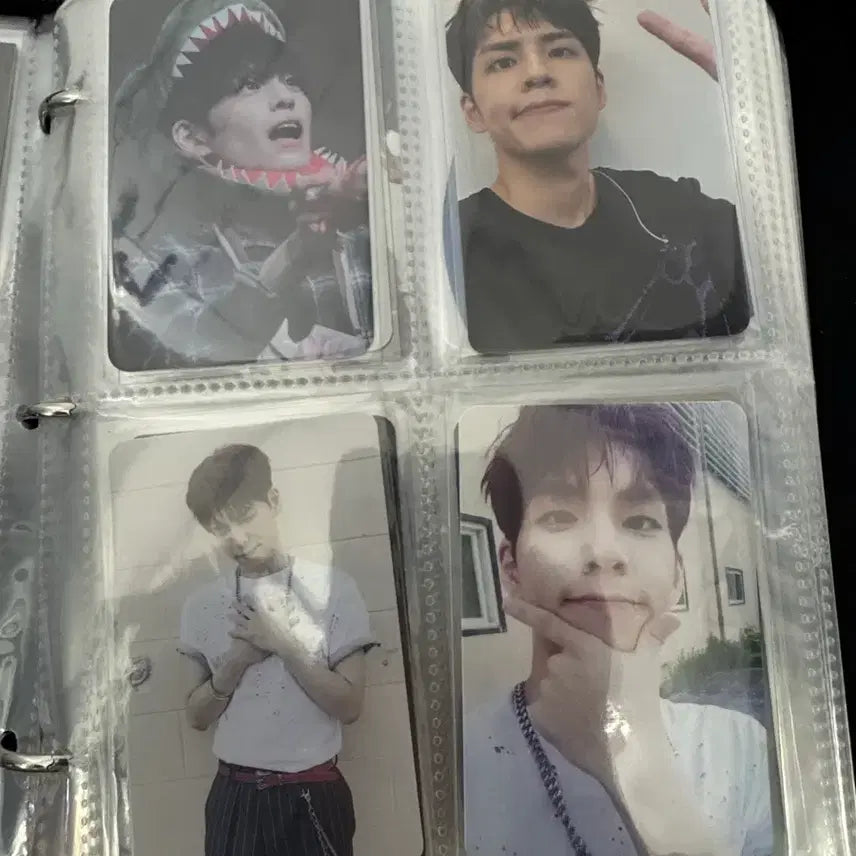 [SOLD OUT] 데이식스 포카